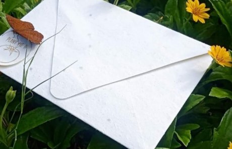 Seed paper envelope